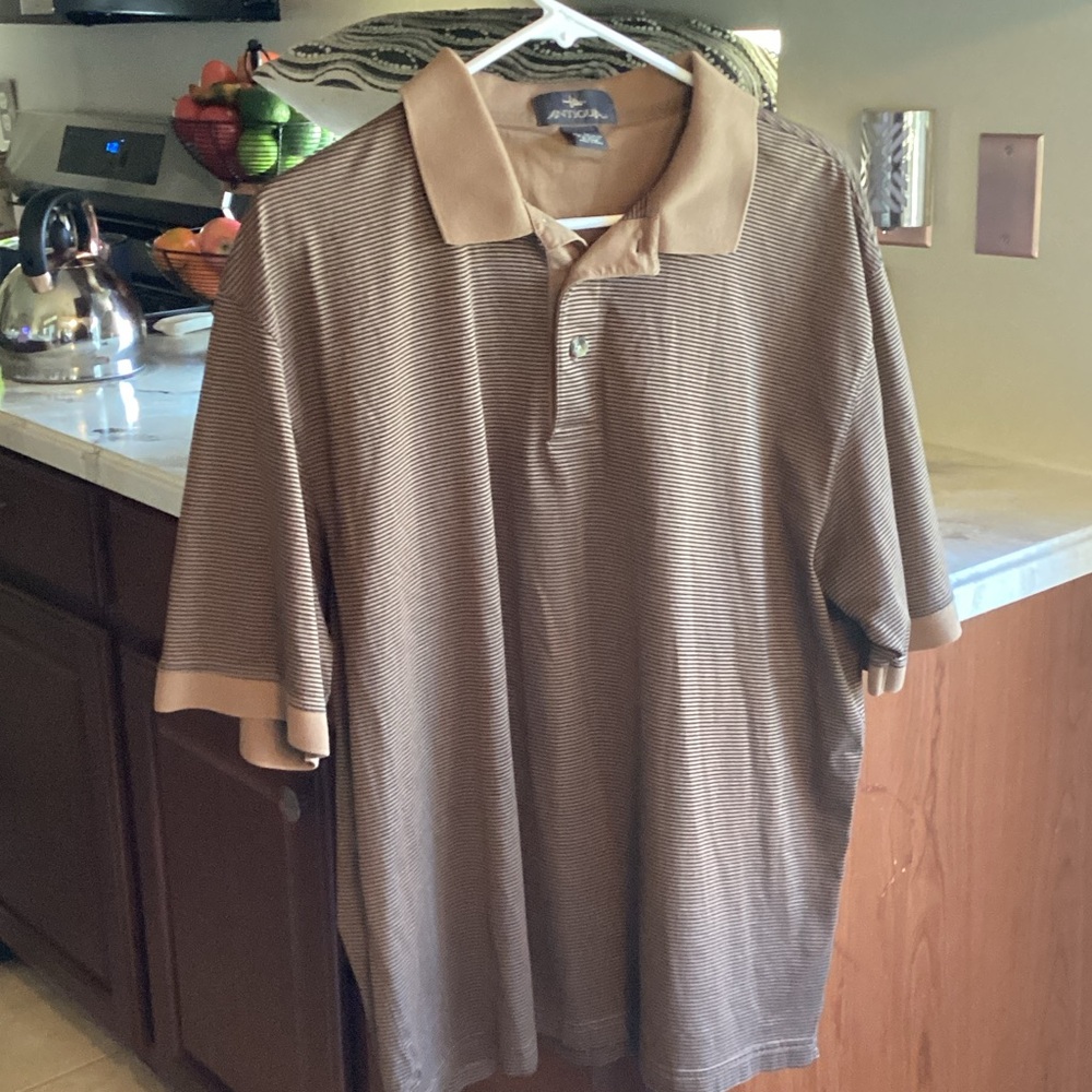 Brown Striped Polo Shirt by Izod